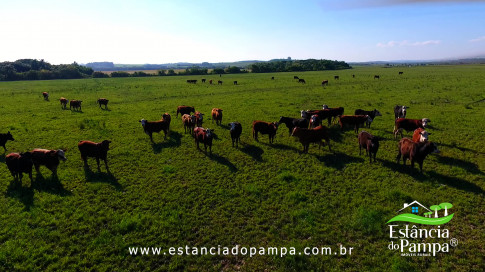 DOS EÓLICOS VIRA P FAZENDA_Moment.00_01_27_18.Quadro178_95b8b5813149cb76167afeb12cb6ce2b5ac1c651.jpg